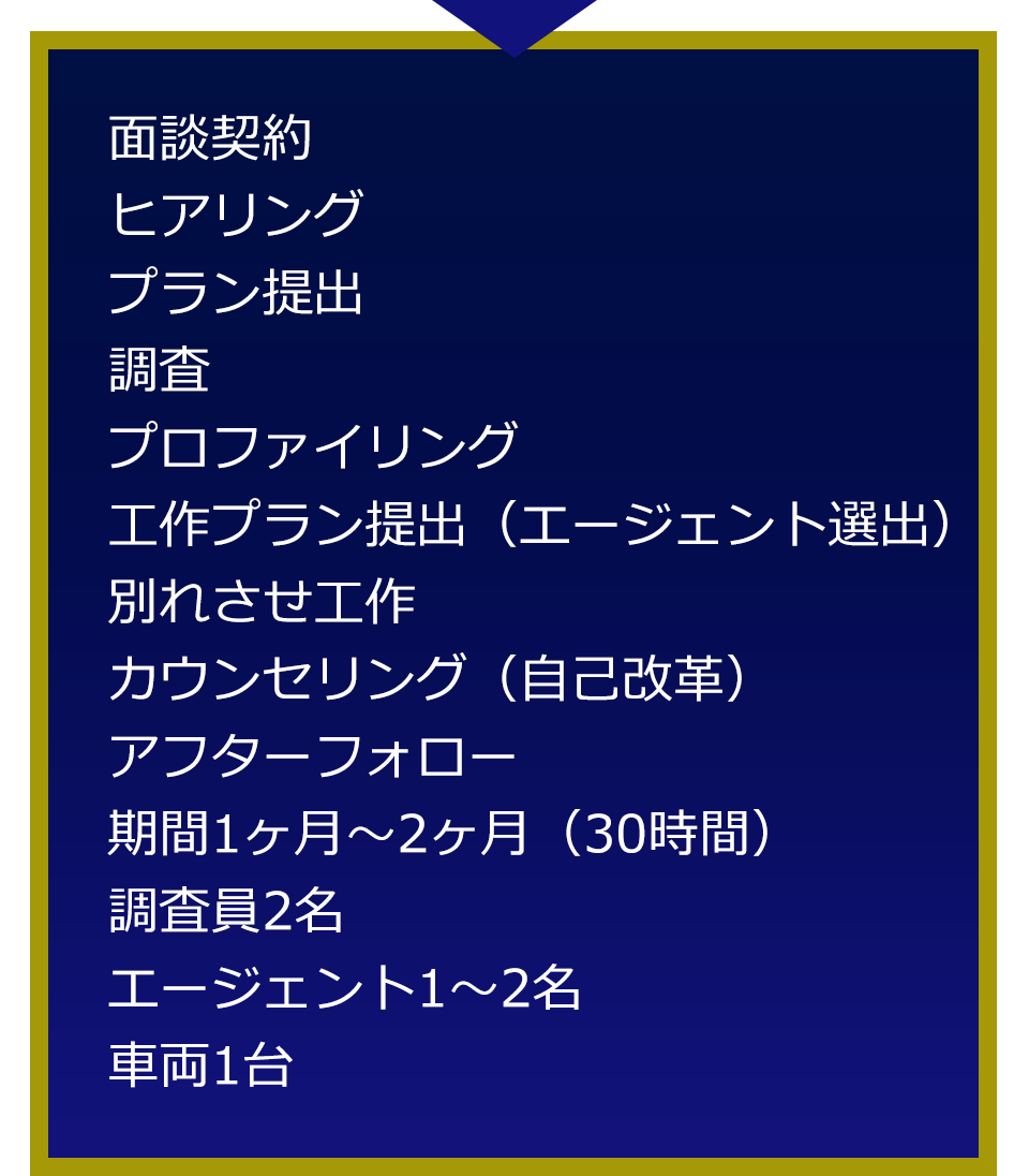 面談契約、ヒアリング、プラン提出、調査、プロファイリング、工作プラン提出（エージェント選出）、別れさせ工作、カウンセリング（自己改革）、アフターフォロー、期間1ヶ月～2ヶ月（30時間）、調査員2名、エージェント1～2名、車両1台